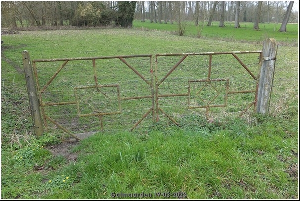 Galmaarden  19-03-23 (18)