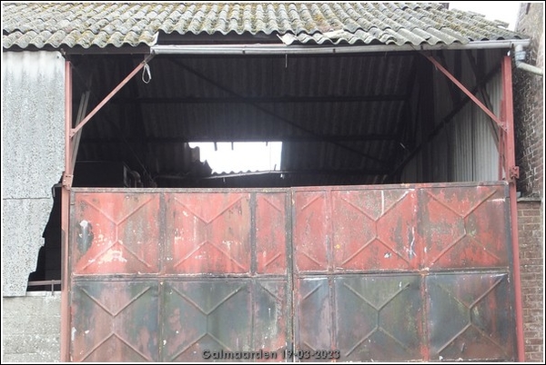 Galmaarden  19-03-23 (19)