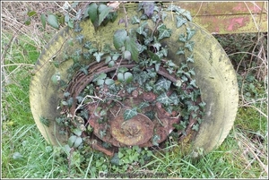 Galmaarden  19-03-23 (26)