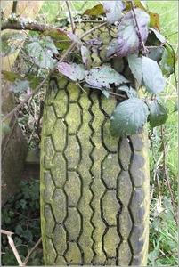 Galmaarden  19-03-23 (27)