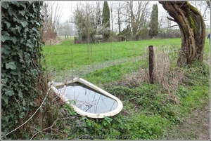 Galmaarden  19-03-23 (28)