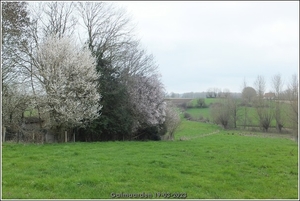 Galmaarden  19-03-23 (29)