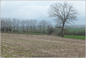 Galmaarden  19-03-23 (31)