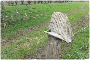 Galmaarden  19-03-23 (33)