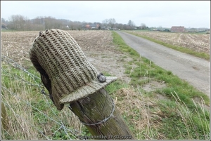 Galmaarden  19-03-23 (34)