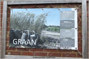 Galmaarden  19-03-23 (43)