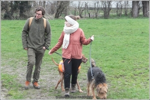 Galmaarden  19-03-23 (52)