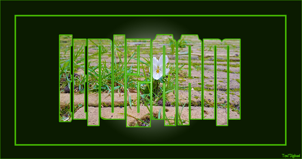 Typografie kopiëren