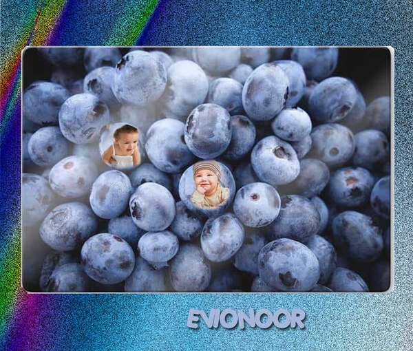 evionoor3