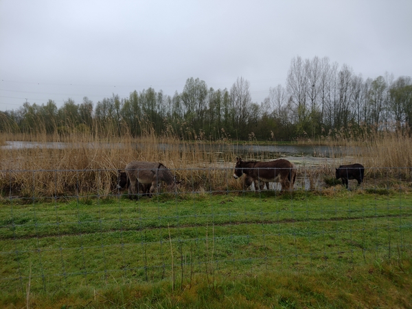 IMG_20230416_094911006