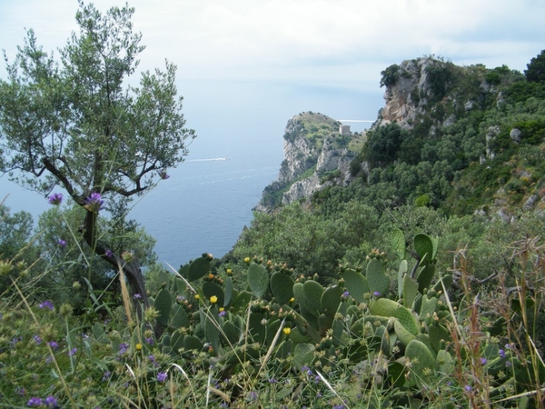 intersoc amalfikust wandelvakantie itali reisduiveltje