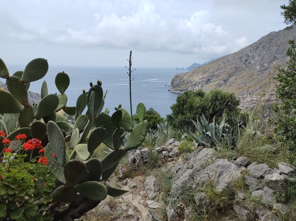 intersoc amalfikust wandelvakantie itali reisduiveltje