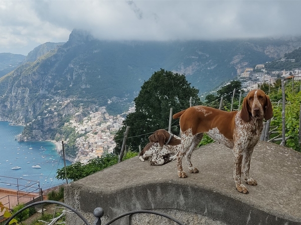 intersoc amalfikust wandelvakantie itali reisduiveltje