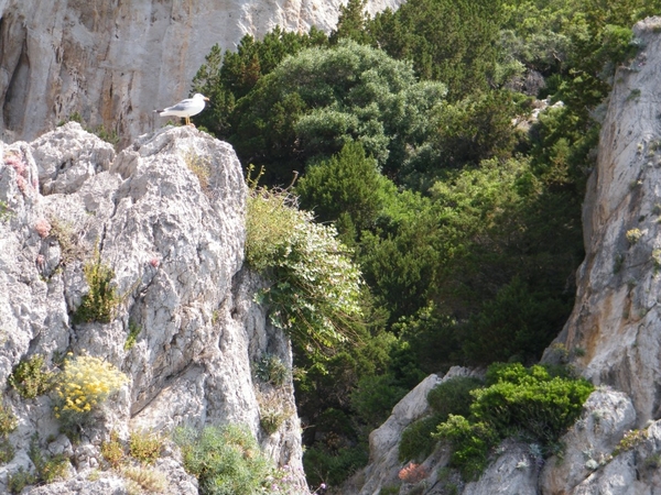 intersoc amalfikust wandelvakantie itali reisduiveltje