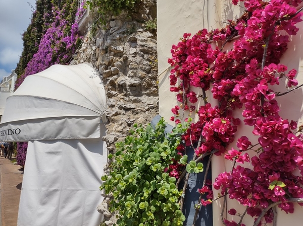 intersoc amalfikust wandelvakantie itali reisduiveltje