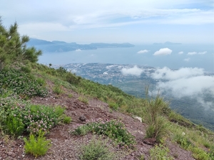 IMG_20230613_143852725_HDR