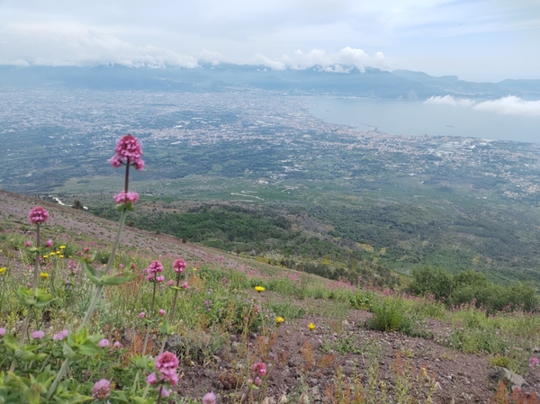 intersoc amalfikust wandelvakantie itali reisduiveltje