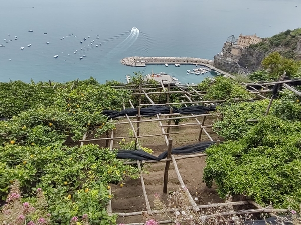 intersoc amalfikust wandelvakantie itali reisduiveltje