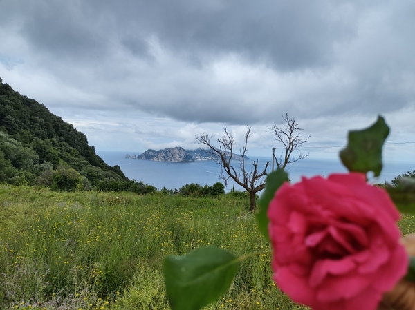 intersoc amalfikust wandelvakantie itali reisduiveltje