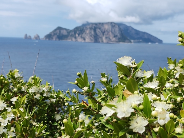 intersoc amalfikust wandelvakantie itali reisduiveltje