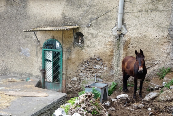 intersoc amalfikust wandelvakantie itali reisduiveltje