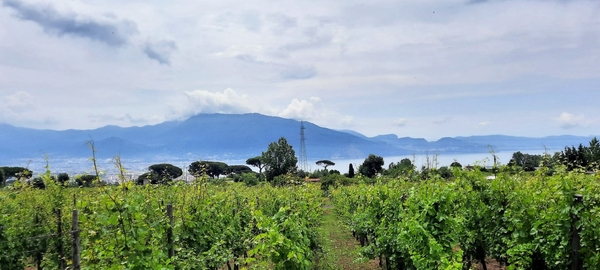 intersoc amalfikust wandelvakantie itali reisduiveltje