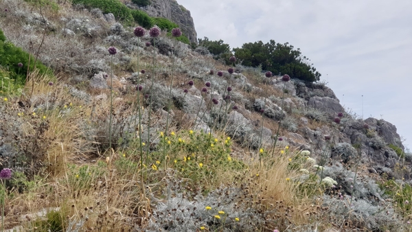 intersoc amalfikust wandelvakantie itali reisduiveltje