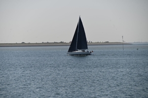 DSC_0592