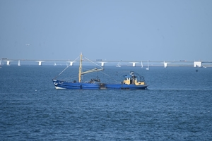 DSC_0596