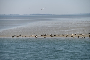 DSC_0608