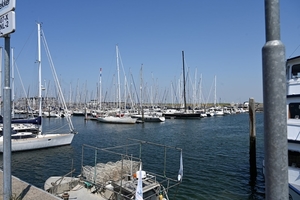 DSC_0711