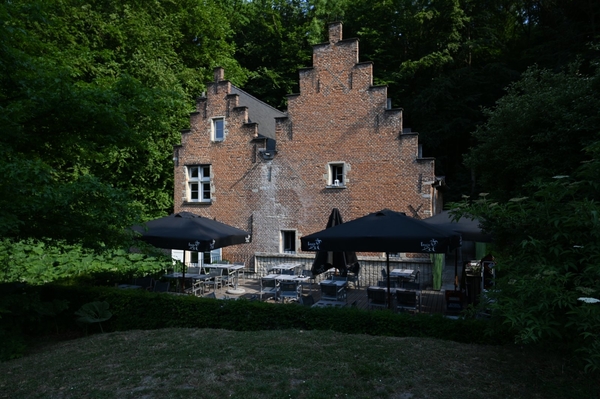 DSC_0985