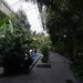 3 WSH1M  Botanische tuin _0550