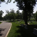 3 WSH2B Arlington Cemetary _0663