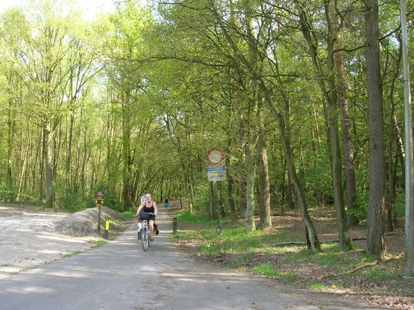 Lewiske in volle klim