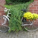 The Oak fiets en bloemen