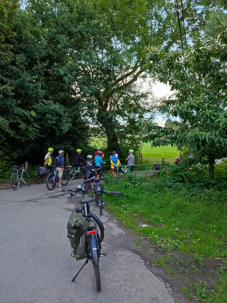 185741d5-6241-49d5-9225-10001495b8a5