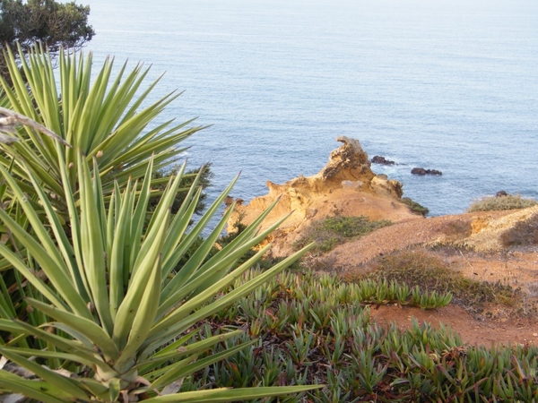 intersoc rota vicentina wandelvakantie portugal reisduiveltje