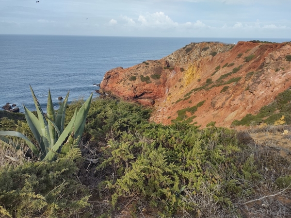 intersoc rota vicentina wandelvakantie portugal reisduiveltje