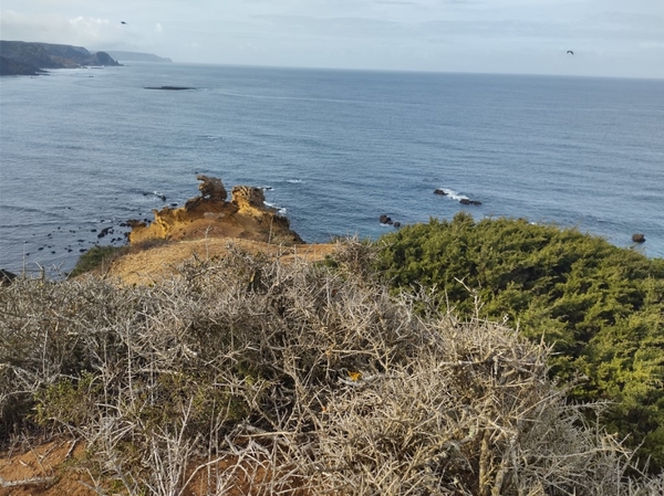 intersoc rota vicentina wandelvakantie portugal reisduiveltje