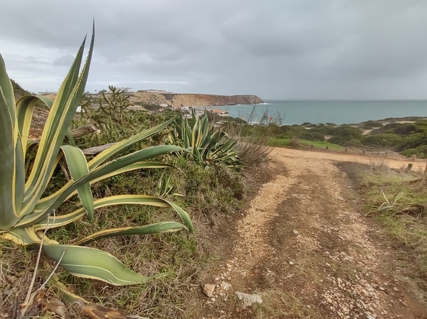 intersoc rota vicentina wandelvakantie portugal reisduiveltje