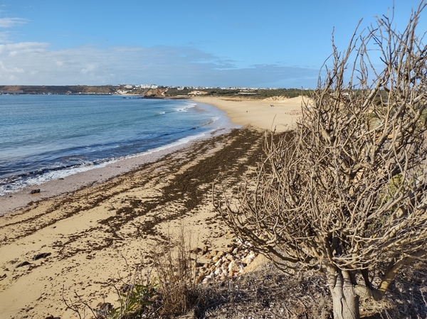 intersoc rota vicentina wandelvakantie portugal reisduiveltje