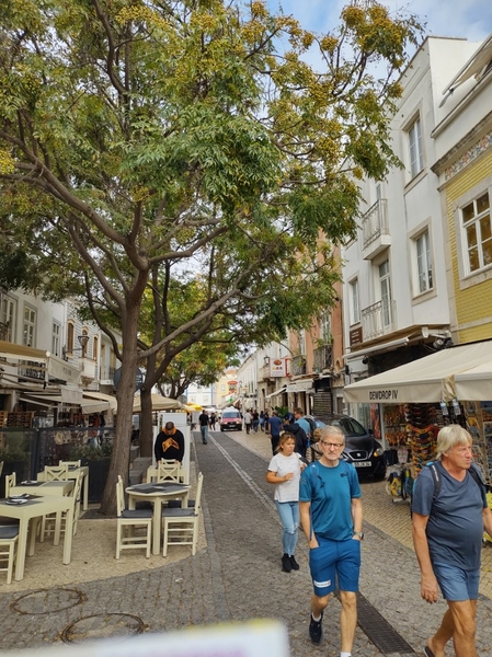 intersoc rota vicentina wandelvakantie portugal reisduiveltje