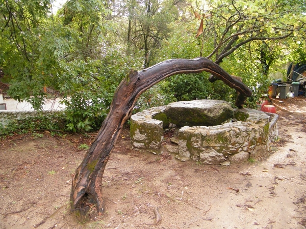 intersoc rota vicentina wandelvakantie portugal reisduiveltje