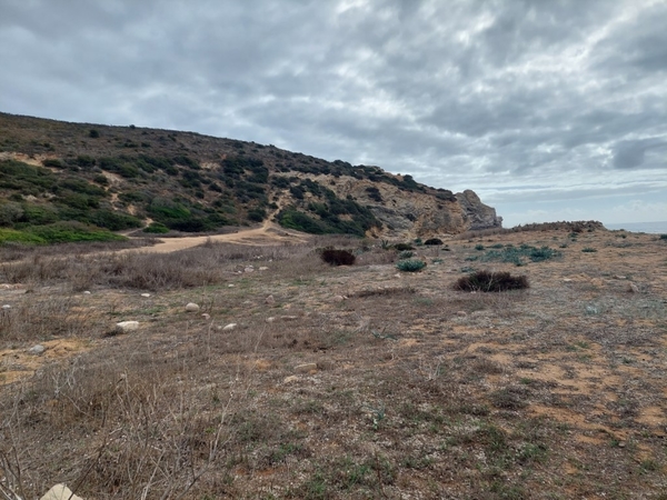 intersoc rota vicentina wandelvakantie portugal reisduiveltje