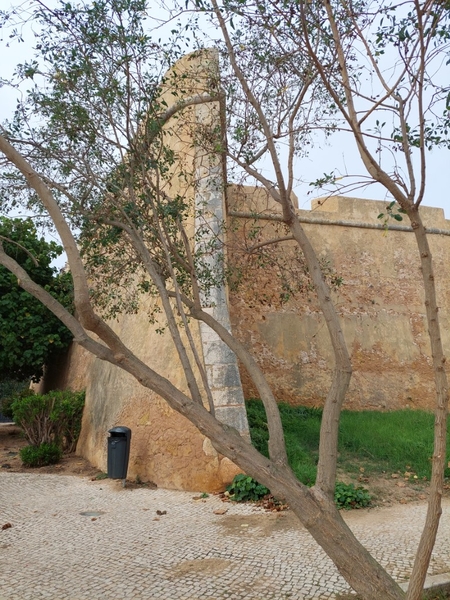 intersoc rota vicentina wandelvakantie portugal reisduiveltje