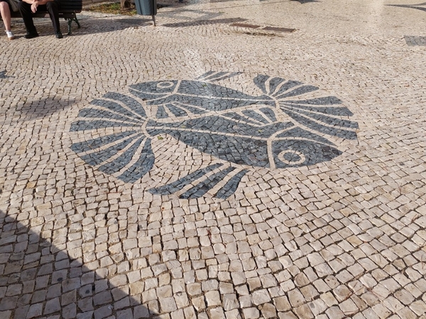 intersoc rota vicentina wandelvakantie portugal reisduiveltje