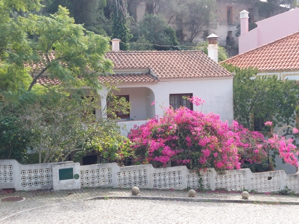 intersoc rota vicentina wandelvakantie portugal reisduiveltje