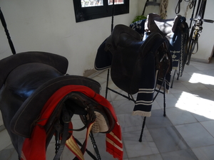 1D Jerez, paardenstoeterij   _DSC00116