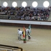 1D Jerez, paardenstoeterij, show _0741